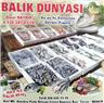 Balık Dünyası - Mersin